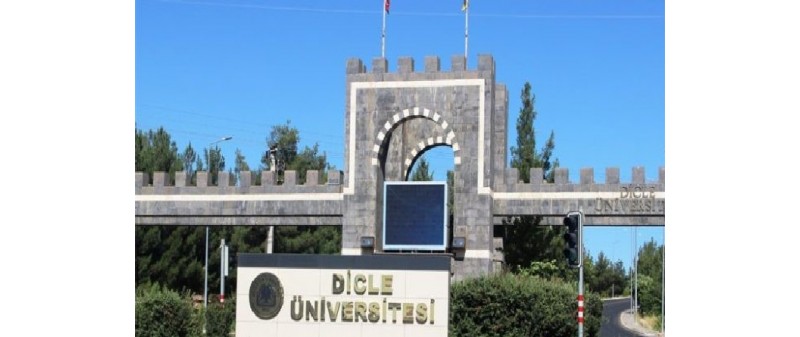 DİCLE ÜNİVERSİTESİ