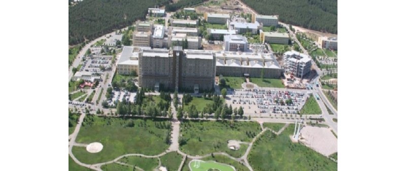 ESKİŞEHİR OSMANGAZİ ÜNİVERSİTESİ